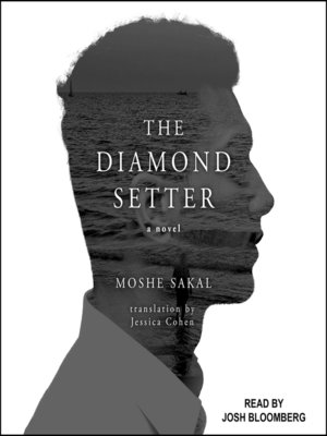 cover image of The Diamond Setter